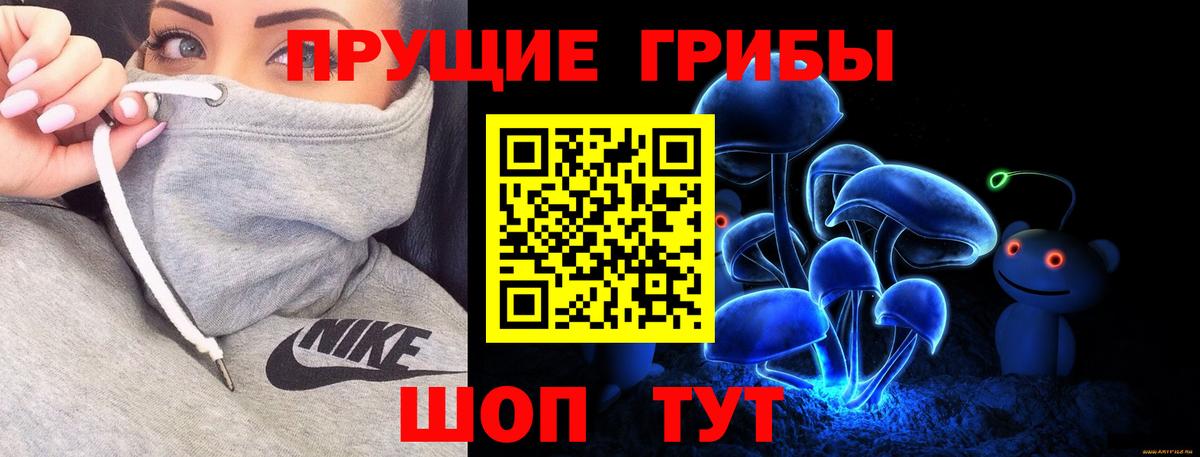 Псилоцибиновые грибы мицелий  Вход с VPN  Ишим 